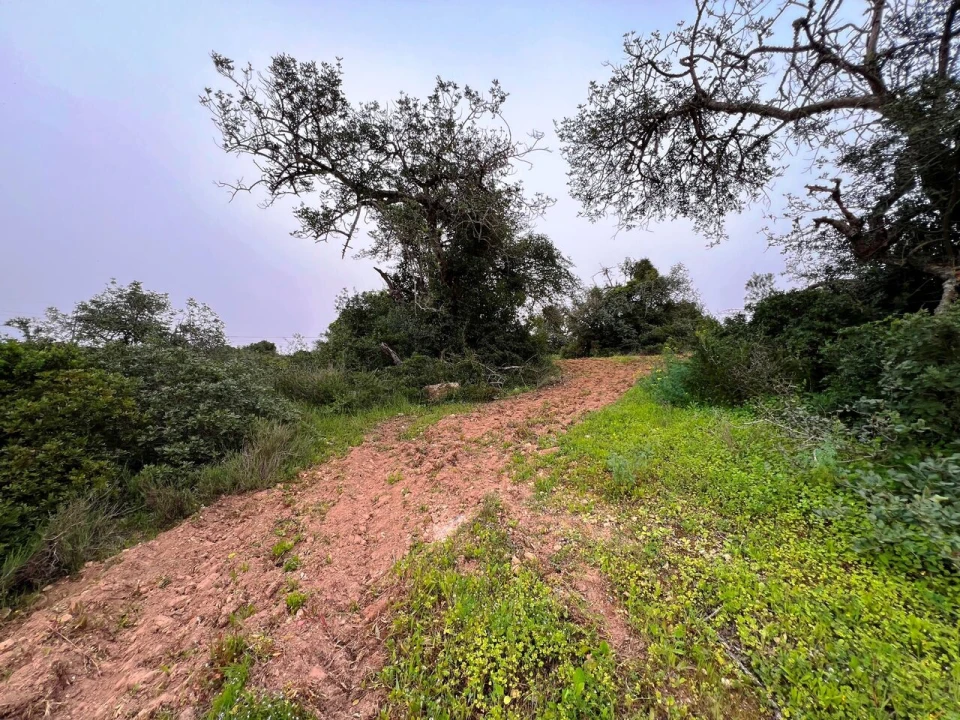 Terreno para Venda em Guia Foto 19