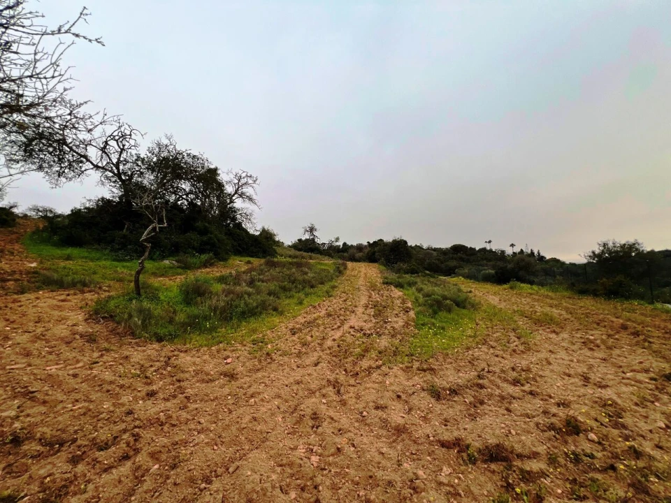 Terreno para Venda em Guia Foto 20