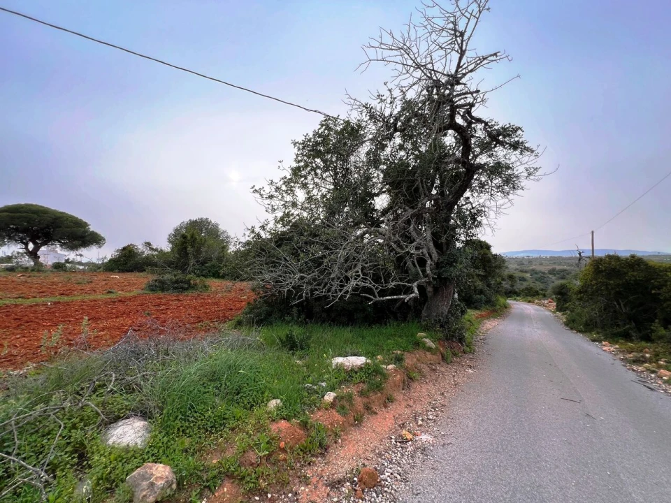 Terreno para Venda em Guia Foto 25