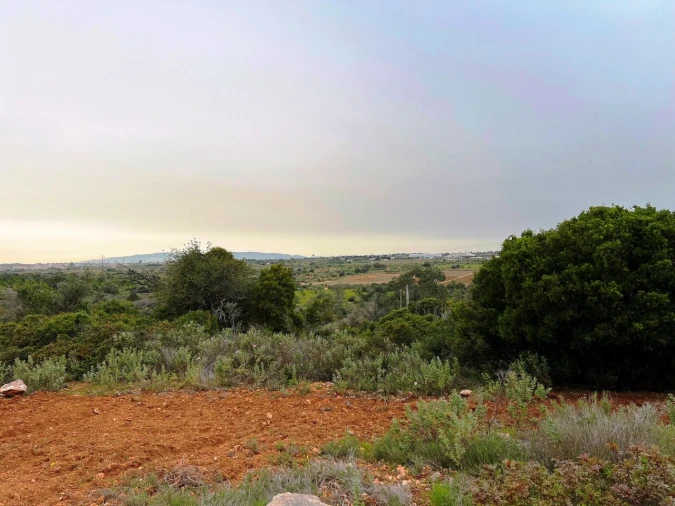 Terreno para Venda em Guia Foto 7