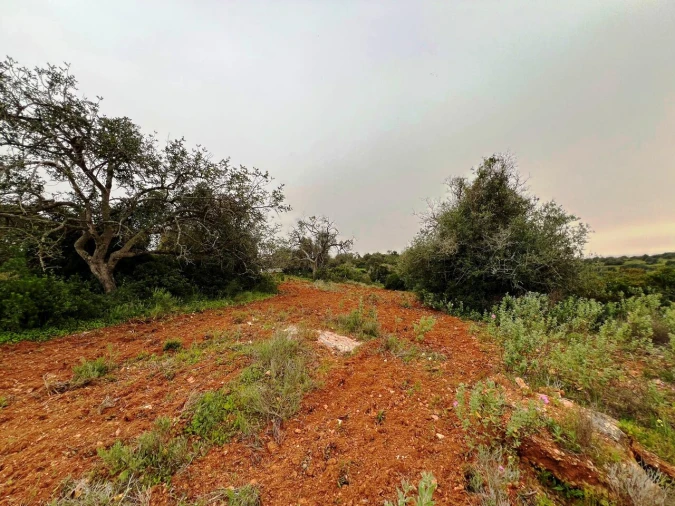 Terreno para Venda em Guia Foto 8
