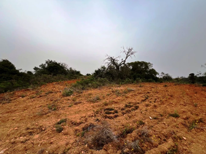 Terreno para Venda em Guia Foto 13