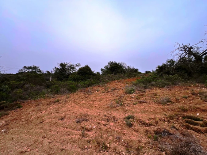 Terreno para Venda em Guia Foto 14