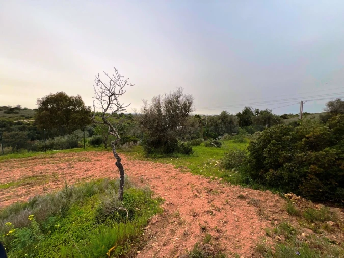 Terreno para Venda em Guia Foto 18