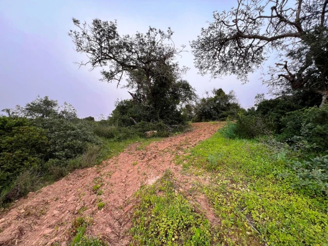 Terreno para Venda em Guia Foto 19