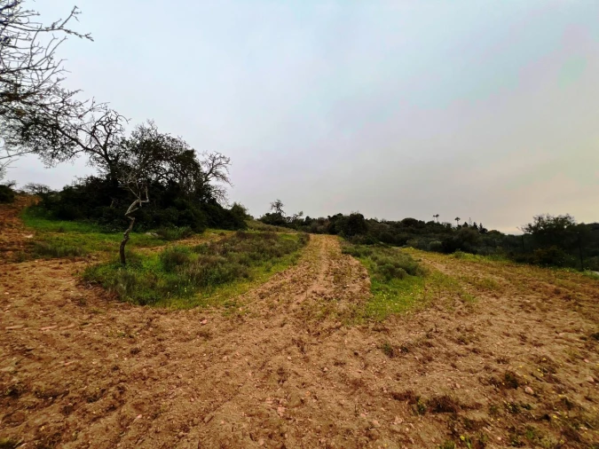 Terreno para Venda em Guia Foto 20