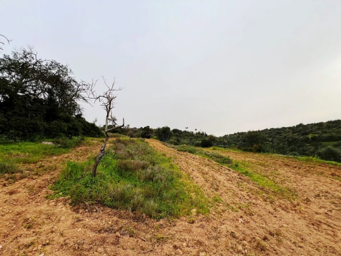 Terreno para Venda em Guia Foto 21