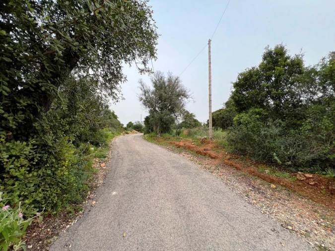 Terreno para Venda em Guia Foto 23