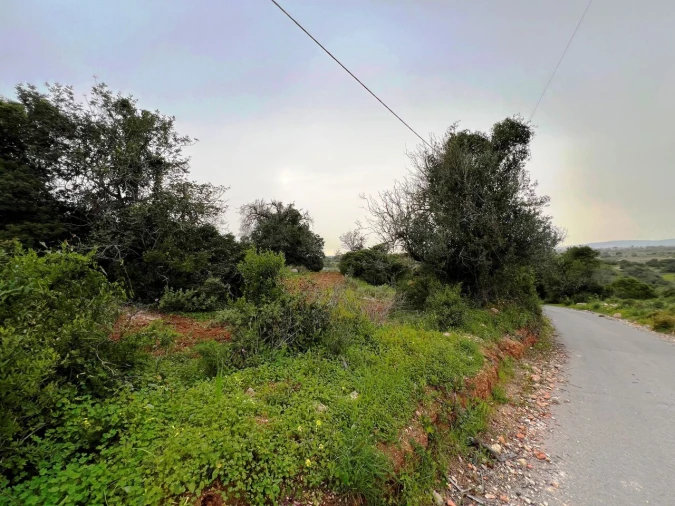 Terreno para Venda em Guia Foto 24