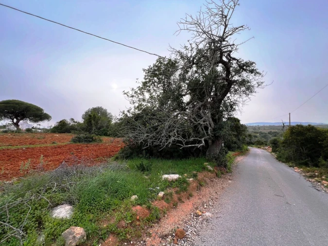 Terreno para Venda em Guia Foto 25