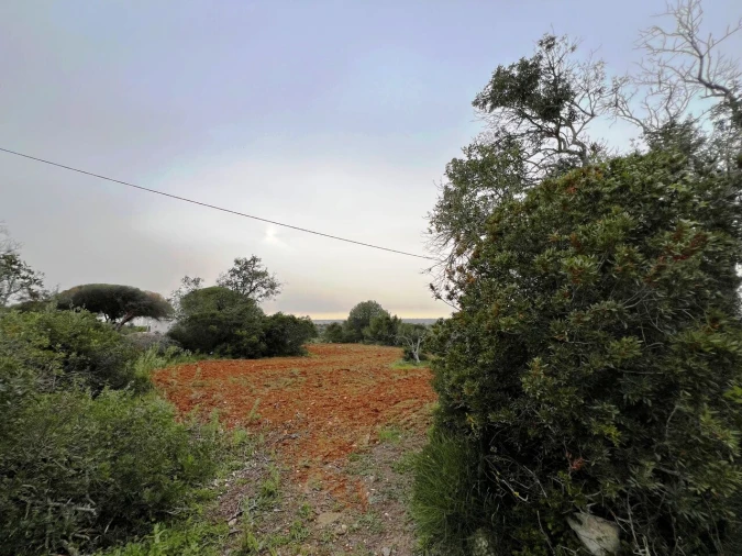 Terreno para Venda em Guia Foto 26