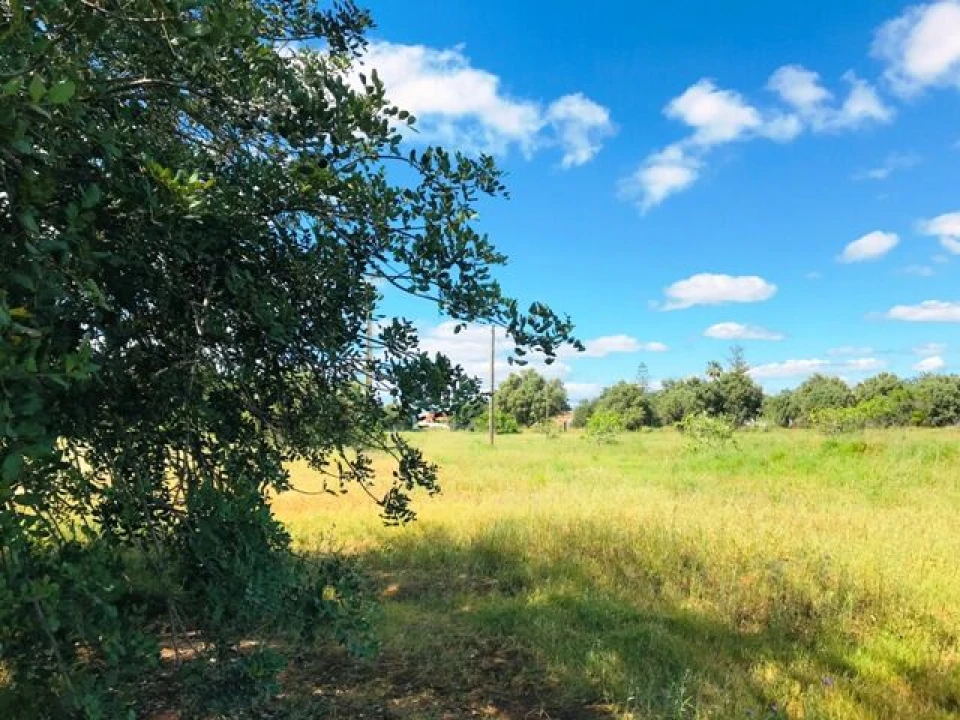 Terreno para Venda em Guia Foto 14