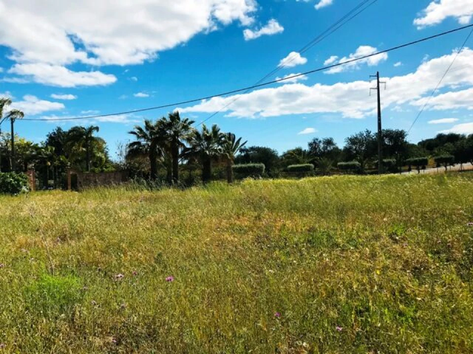 Terreno para Venda em Guia Foto 18