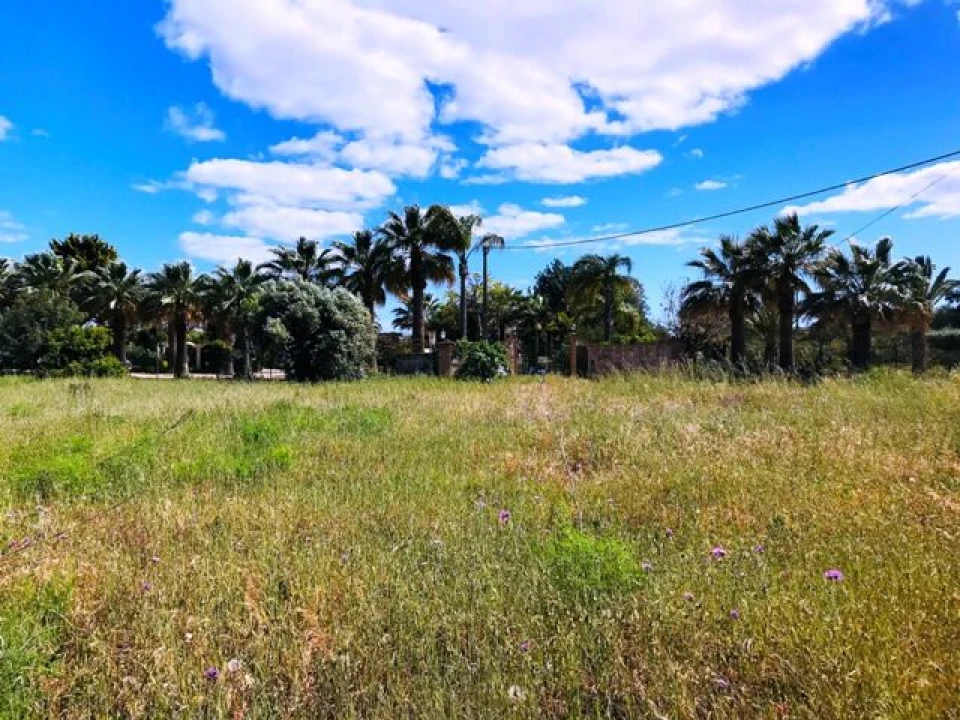 Terreno para Venda em Guia Foto 20