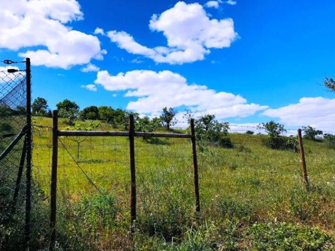 Terreno para Venda em Guia Foto 2