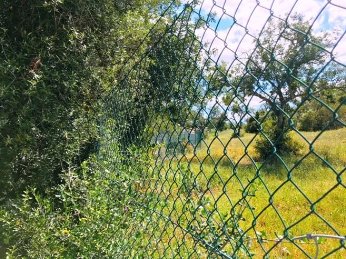 Terreno para Venda em Guia Foto 9