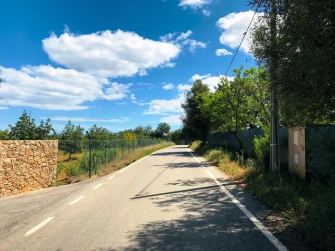 Terreno para Venda em Guia Foto 4