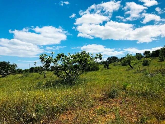 Terreno para Venda em Guia Foto 10
