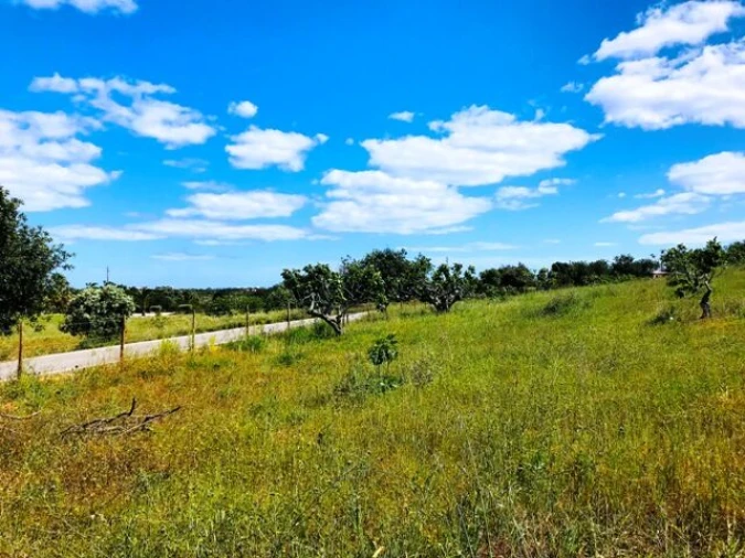 Terreno para Venda em Guia Foto 11
