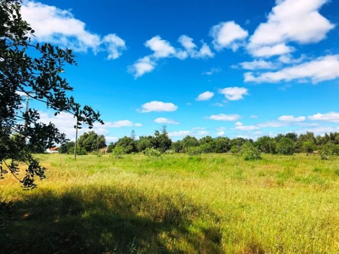 Terreno para Venda em Guia Foto 12
