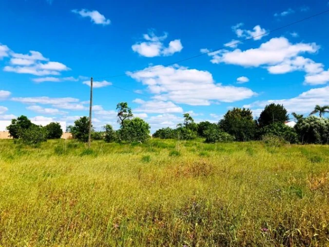 Terreno para Venda em Guia Foto 15