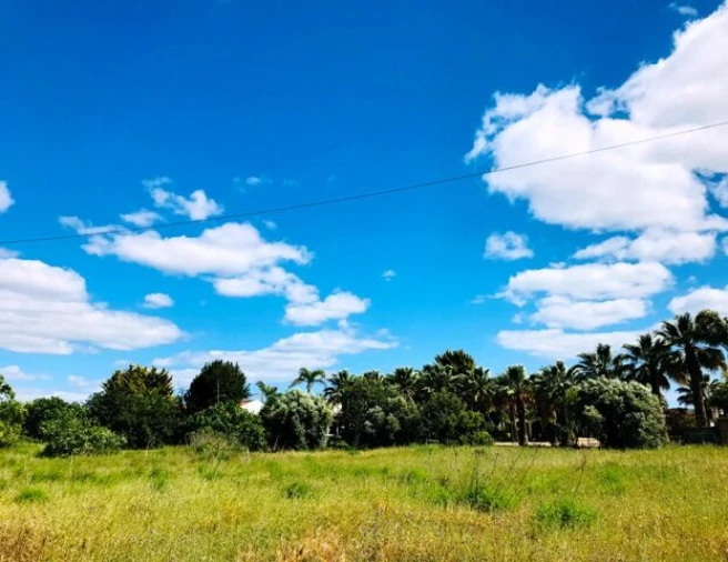 Terreno para Venda em Guia Foto 16