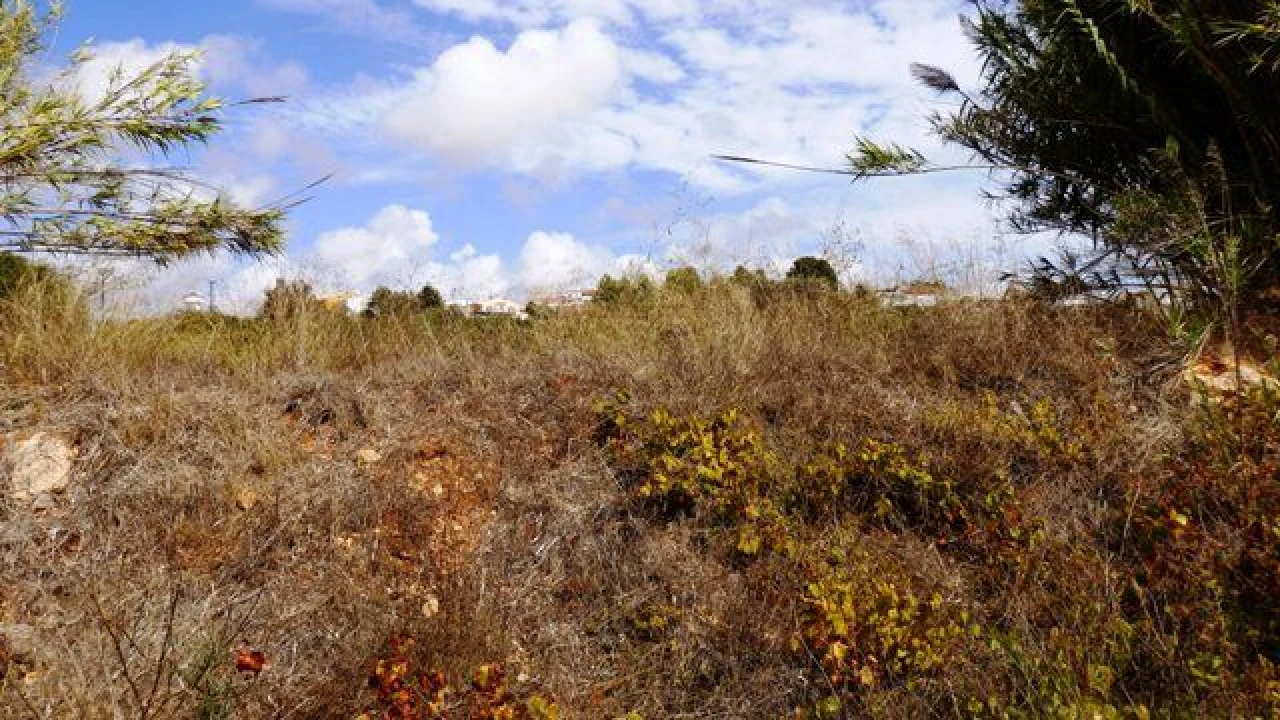 Terreno para Venda em Alcantarilha e Pêra Foto 4