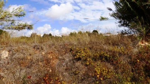 Terreno para Venda em Alcantarilha e Pêra