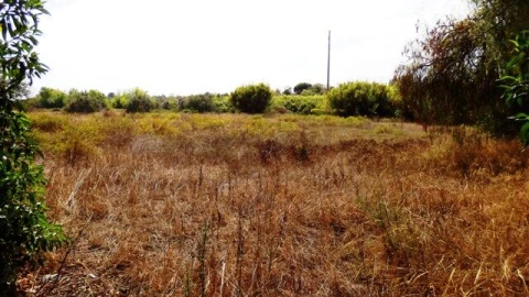 Terreno para Venda em Alcantarilha e Pêra