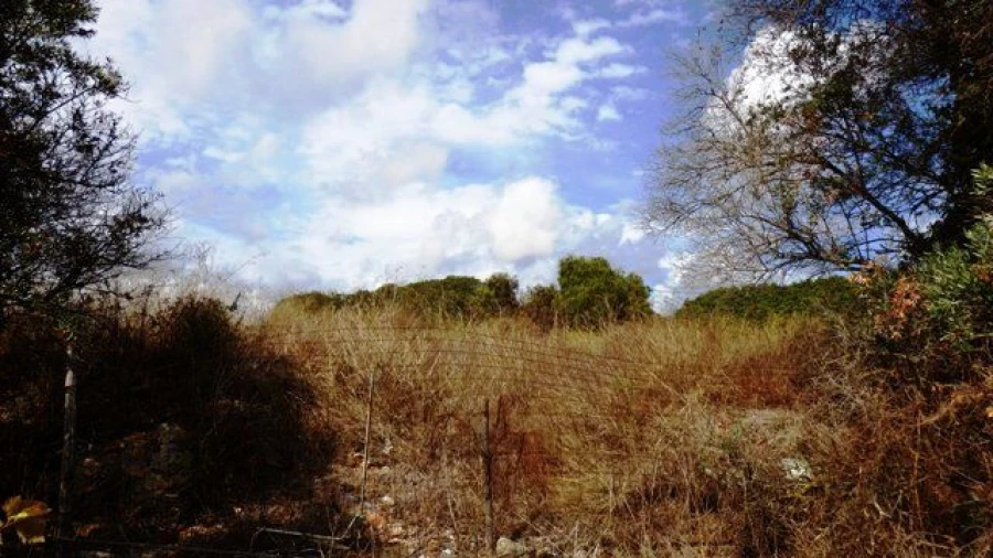 Terreno para Venda em Alcantarilha e Pêra Foto 3