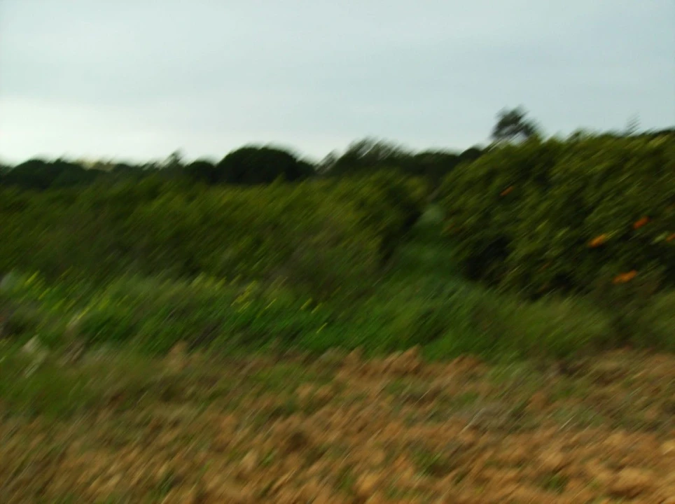 Terreno para Venda em Albufeira e Olhos de Água Foto 4