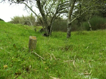Terreno para Venda em Albufeira e Olhos de Água