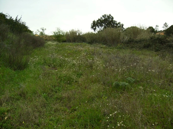 Terreno para Venda em Albufeira e Olhos de Água Foto 2