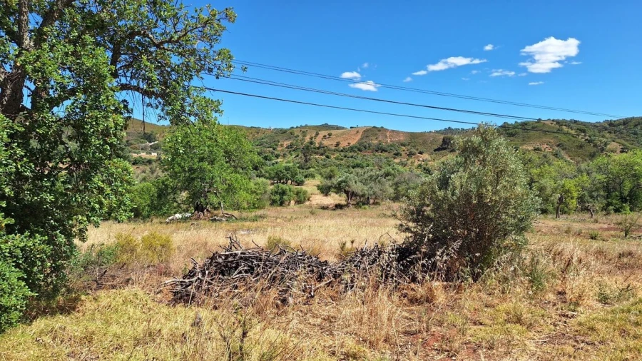 Terreno para Venda em São Bartolomeu de Messines Foto 3