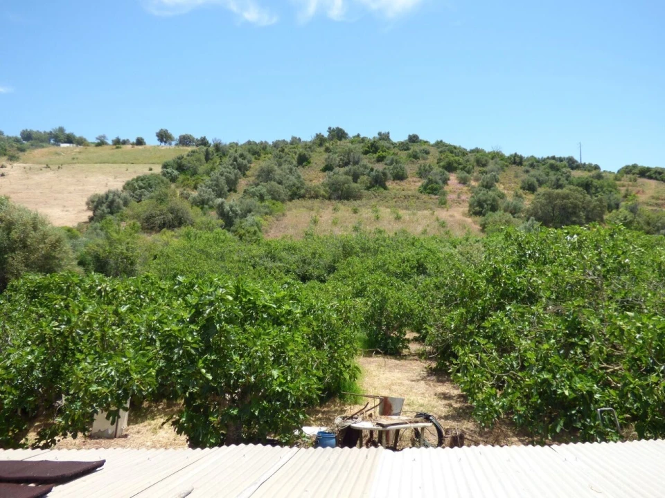 Moradia T2 para Venda em Silves Foto 22