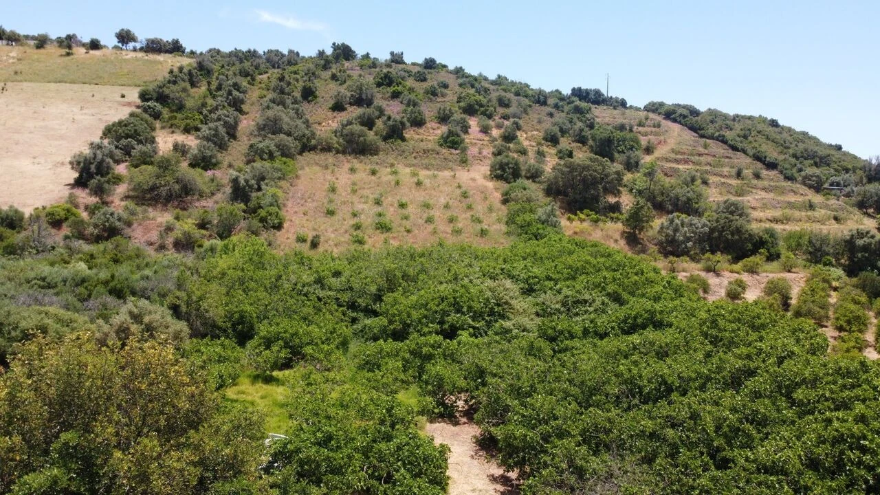 Moradia T2 para Venda em Silves Foto 16