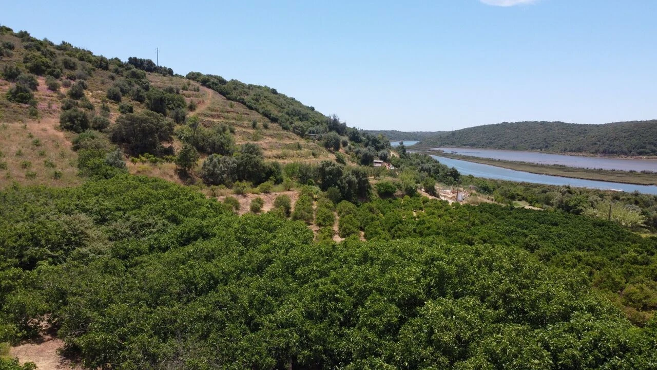 Moradia T2 para Venda em Silves Foto 17