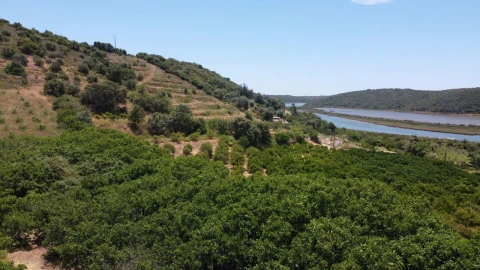 Moradia T2 para Venda em Silves