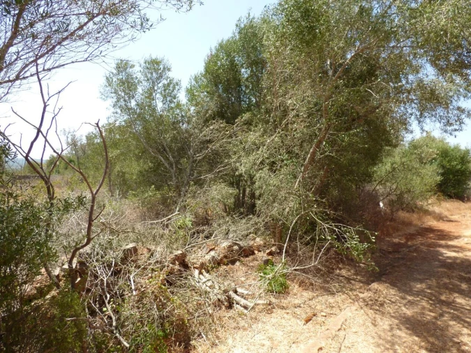 Moradia T3 para Venda em São Bartolomeu de Messines Foto 14