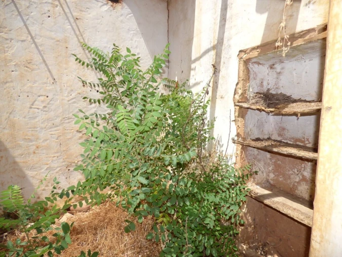 Moradia T3 para Venda em São Bartolomeu de Messines Foto 17