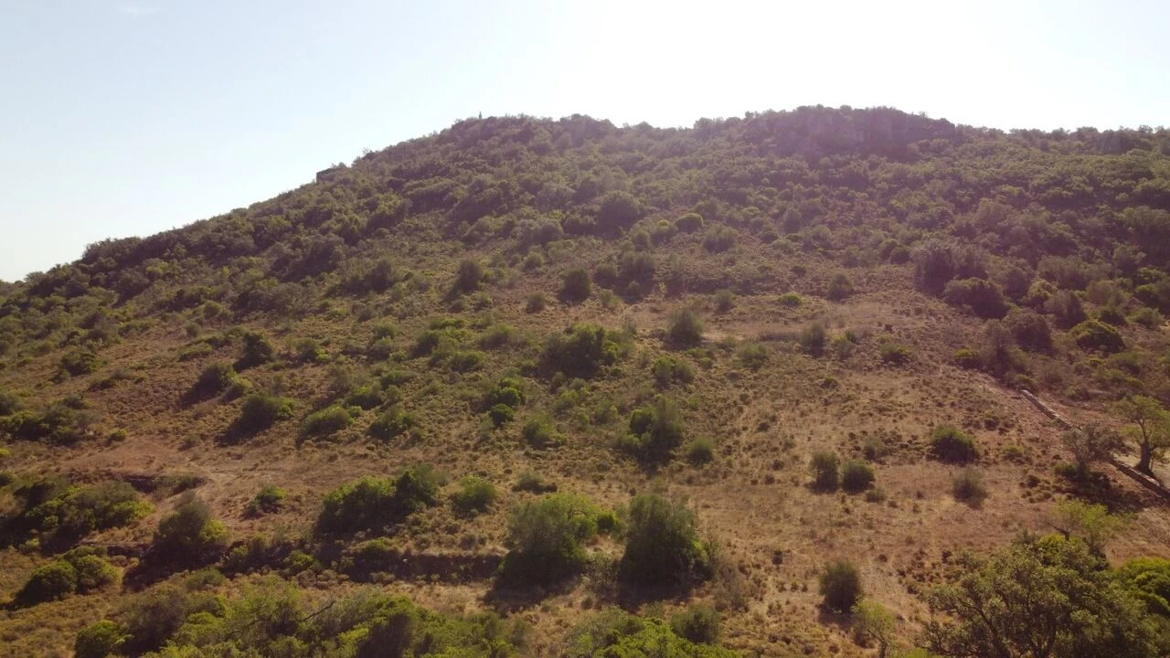 Terreno para Venda em São Bartolomeu de Messines Foto 3