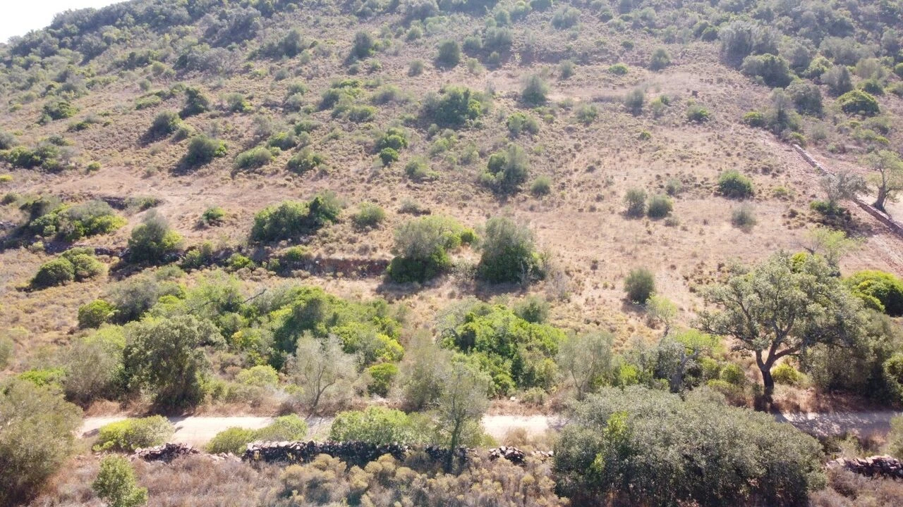 Terreno para Venda em São Bartolomeu de Messines Foto 4