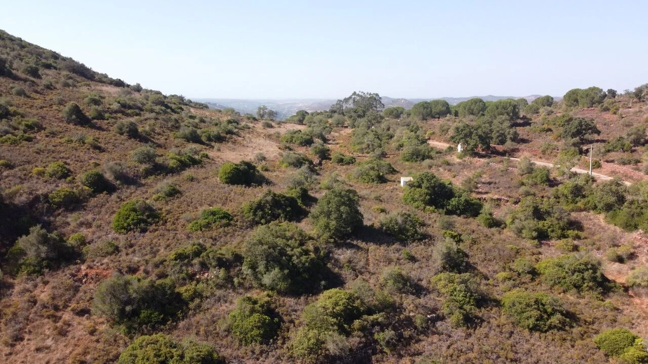Terreno para Venda em São Bartolomeu de Messines Foto 7