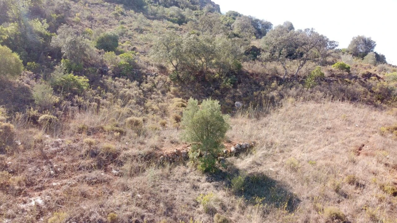 Terreno para Venda em São Bartolomeu de Messines Foto 9