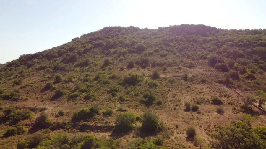 Terreno para Venda em São Bartolomeu de Messines Foto 3