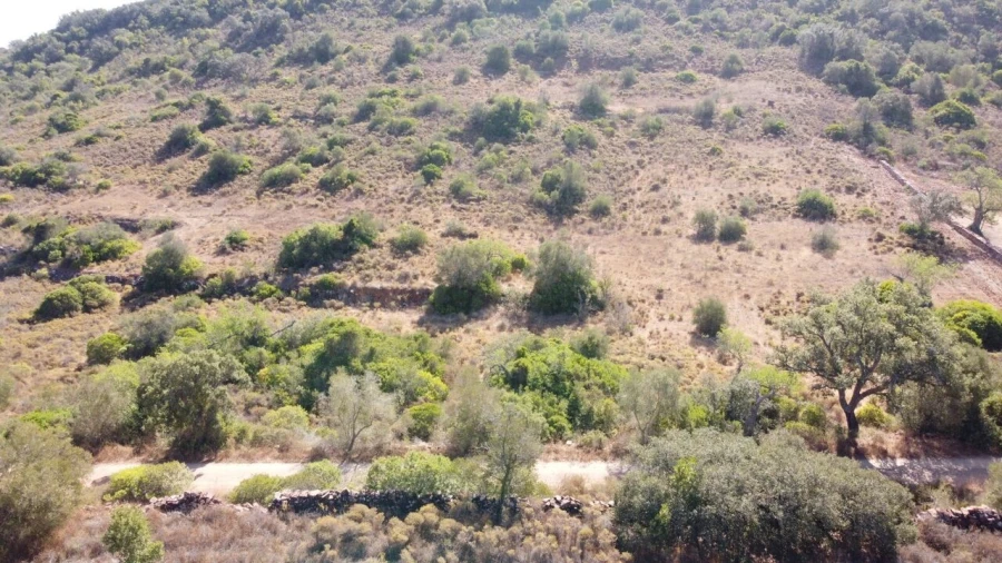 Terreno para Venda em São Bartolomeu de Messines Foto 4