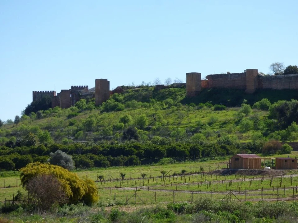 Apartamento T1 para Venda em Silves Foto 3