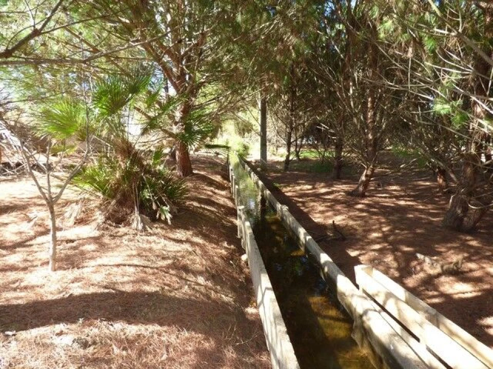 Quinta T6 para Venda em Alcantarilha e Pêra Foto 9