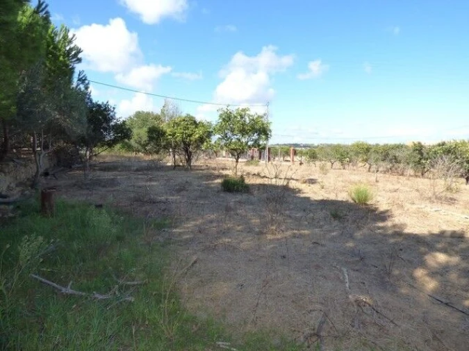 Quinta T6 para Venda em Alcantarilha e Pêra Foto 10