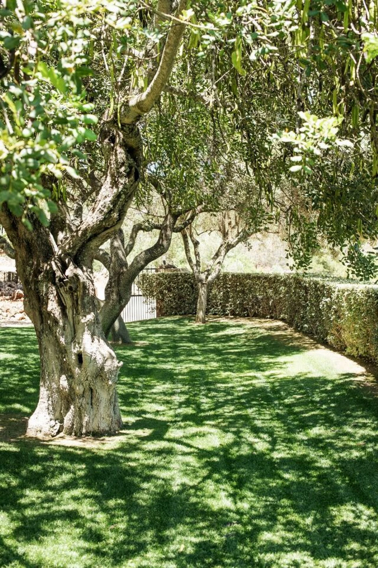 Moradia T5 para Venda em Silves Foto 29